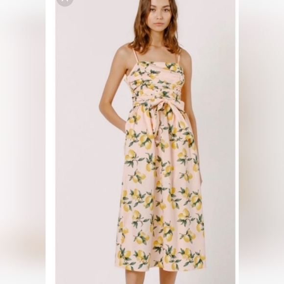 Tuckernuck Dresses & Skirts - Tuckernuck Pink Lemon-Print Midi Dress